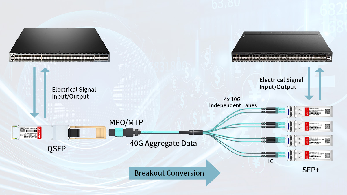 MPO QSFP Breakout and Fanout Scenarios