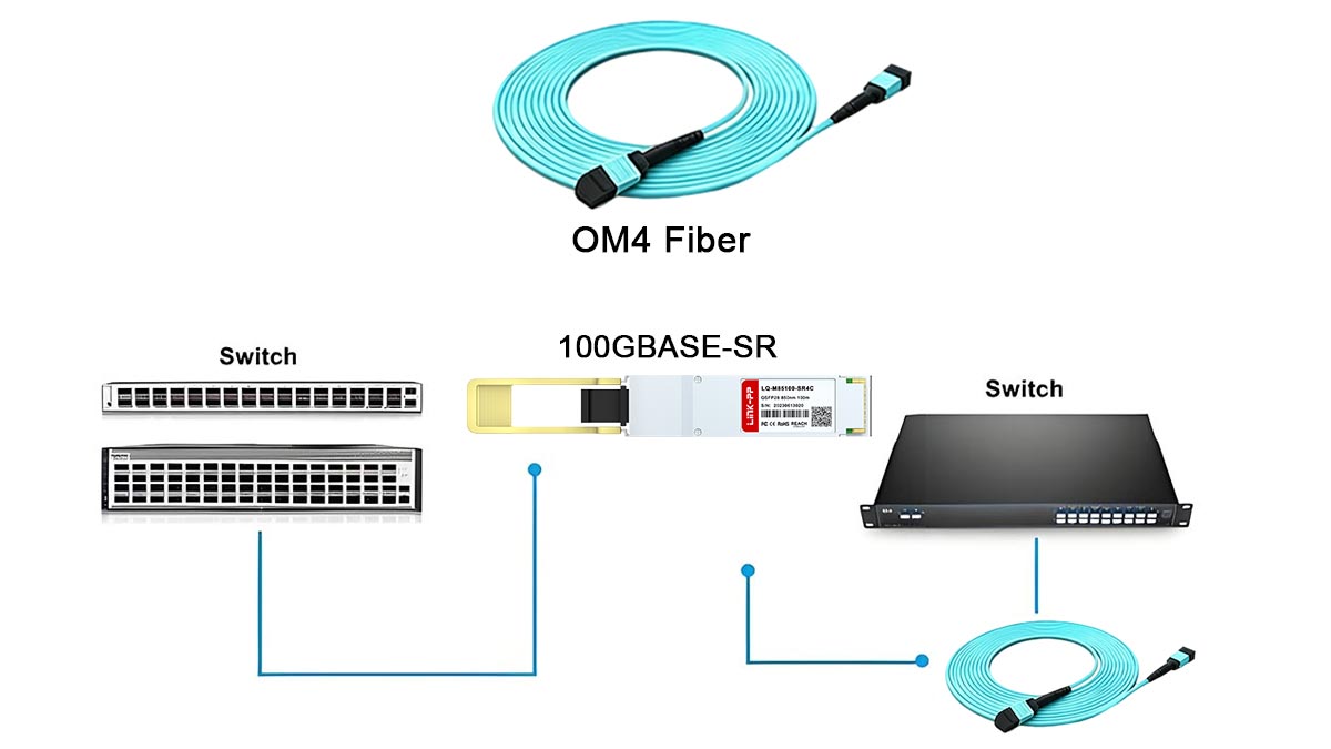 Optik 100G mana yang cocok untuk OM4?