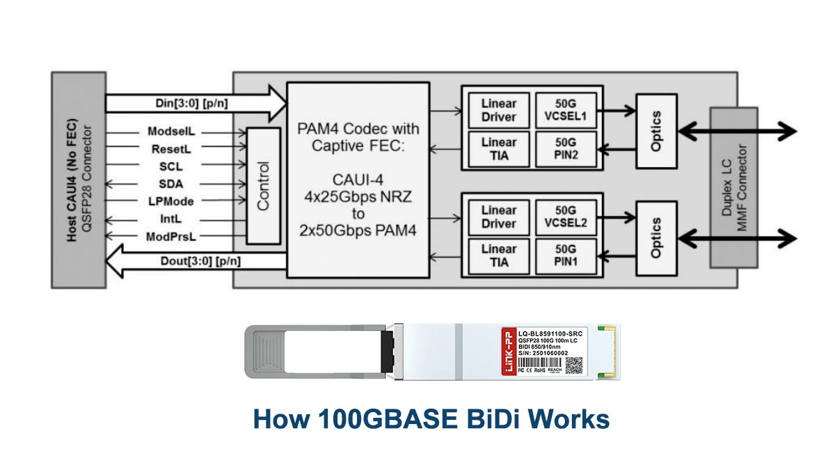كيف يعمل نظام 100GBASE ثنائي الاتجاه (شرح PAM4 + Duplex LC)