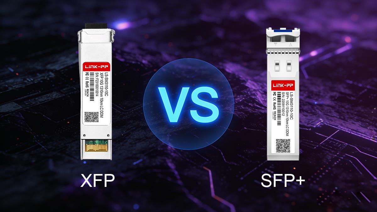 XFP vs. SFP+: Apa Perbedaannya?