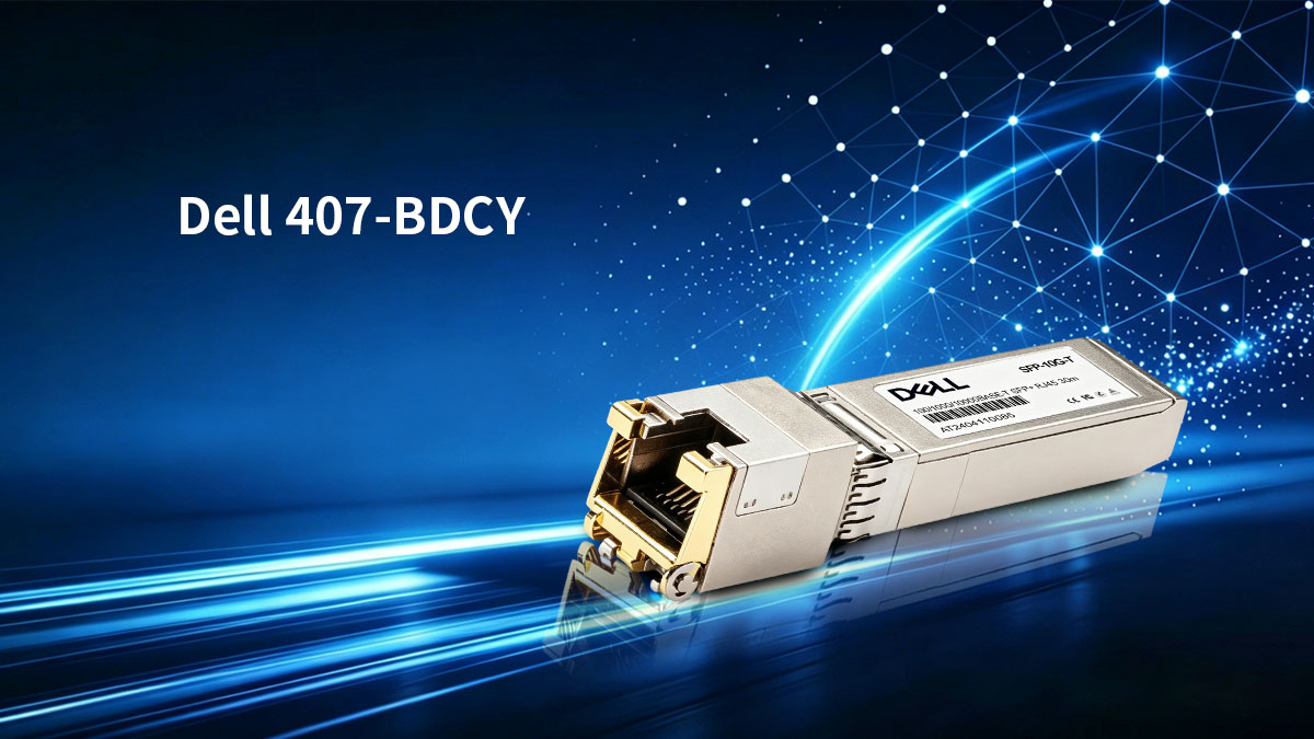 Qu'est-ce que Dell 407-BDCY&nbsp;?