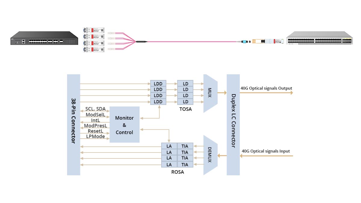Solutions de dérivation et de migration 40G vers 4x10G