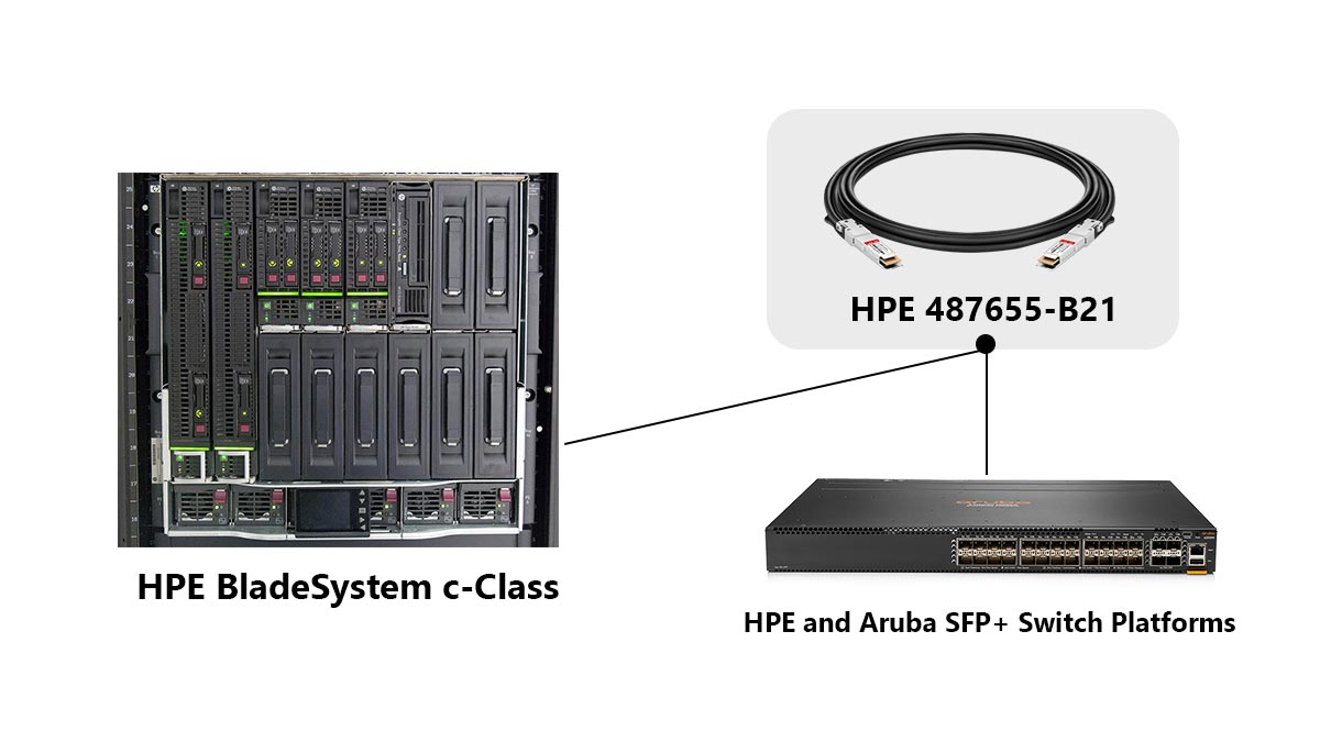 What Systems Is HPE 487655-B21 Compatible With?