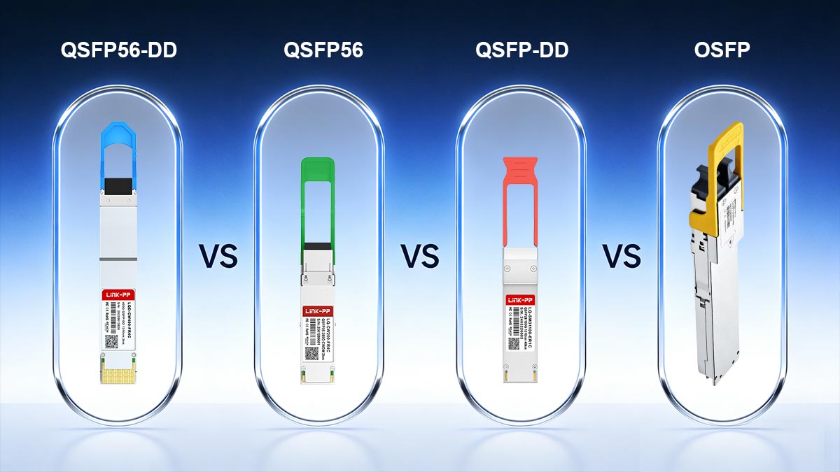 QSFP56-DD vs. QSFP56 vs. QSFP-DD vs. OSFP: What Is the Difference?