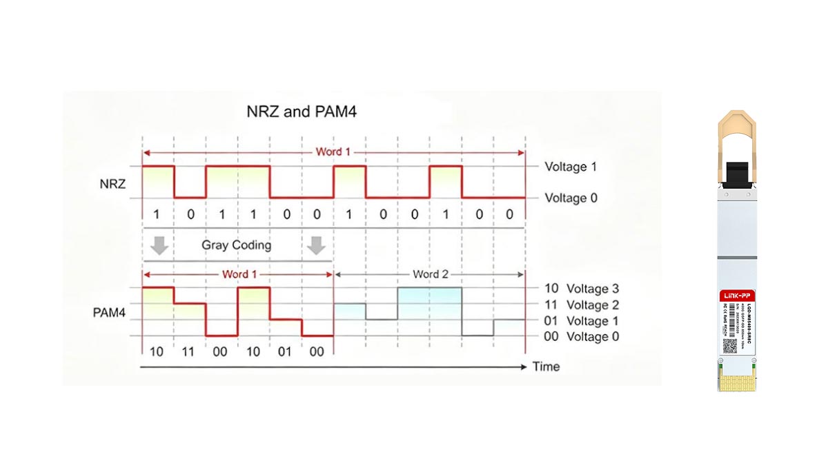 Architectural Integration of PAM4 and MPO-16 in QDD 400G SR8