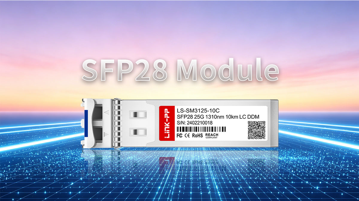 What is an SFP28 Module?
