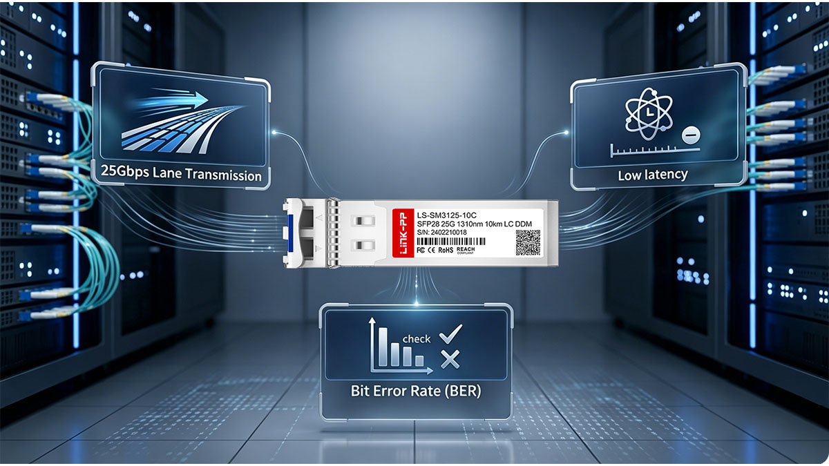 Data Throughput and Performance Characteristics