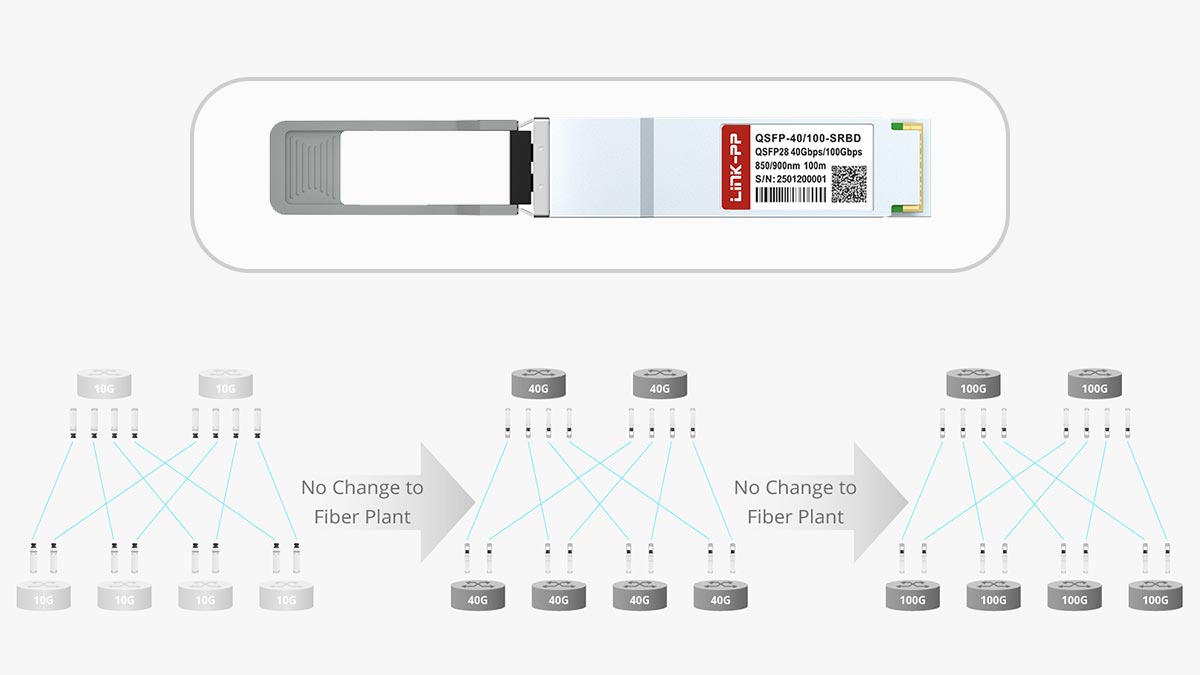 Implementing QSFP-40100-SRBD in Spine-Leaf Architectures