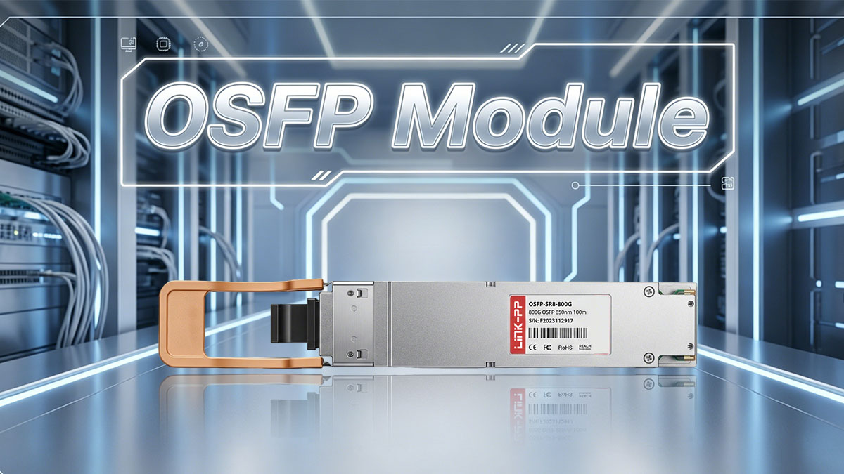 What is an OSFP Module and How Does It Look
