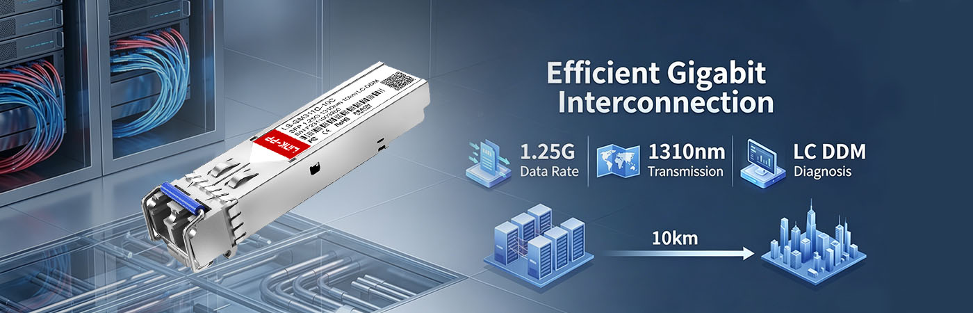 LS-SM311G-10C: Reliable 1.25 Gbps Connectivity for Efficient Gigabit Connectivity