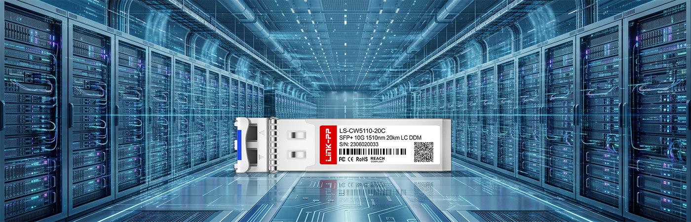 LS-CW5110-20C: 10 Gbps Connectivity for Next-generation Networks