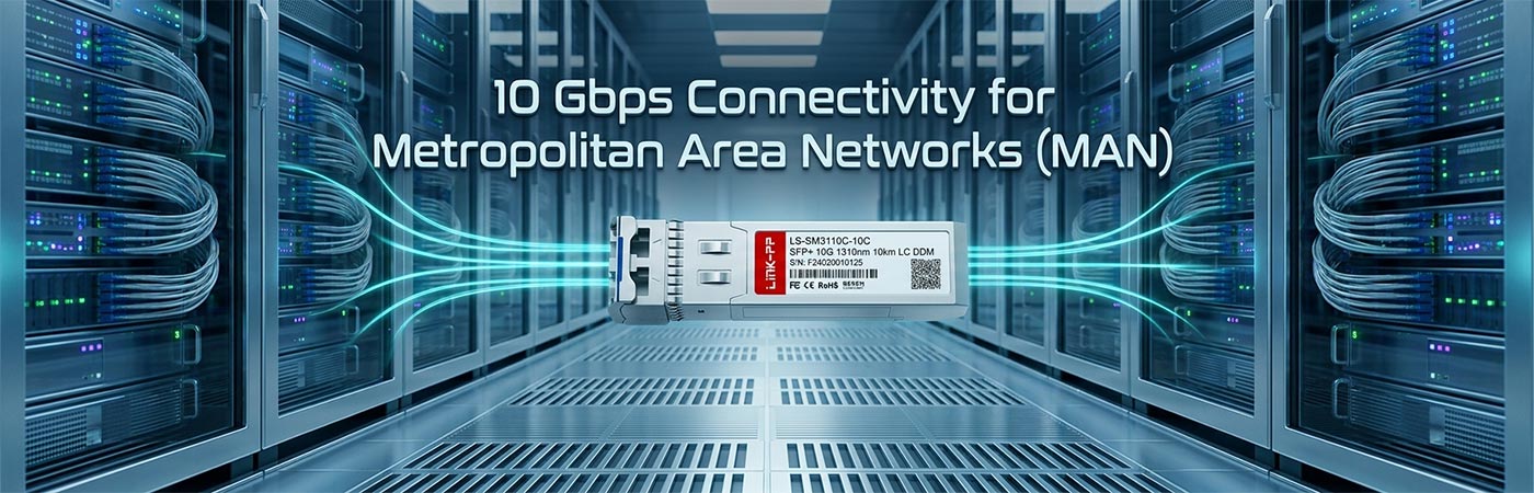 LS-SM3110-10C: 10 Gbps Connectivity for Metropolitan Area Networks (MAN)