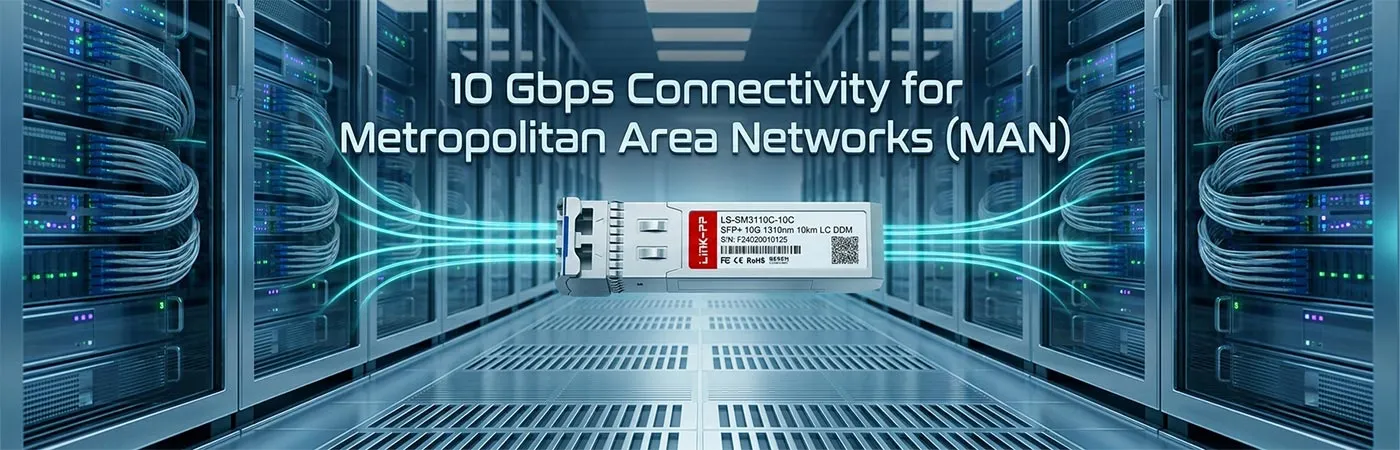 LS-SM3110-10C: 10 Gbps Connectivity for Metropolitan Area Networks (MAN)