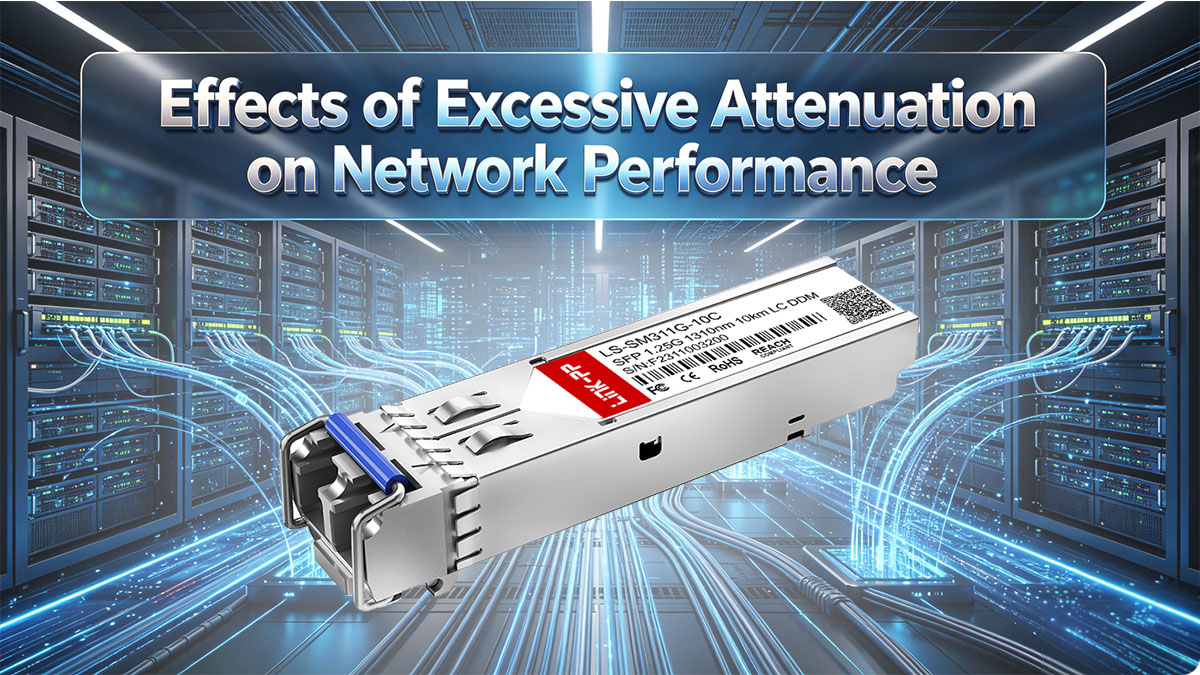 Effects of Excessive Attenuation on Network Performance
