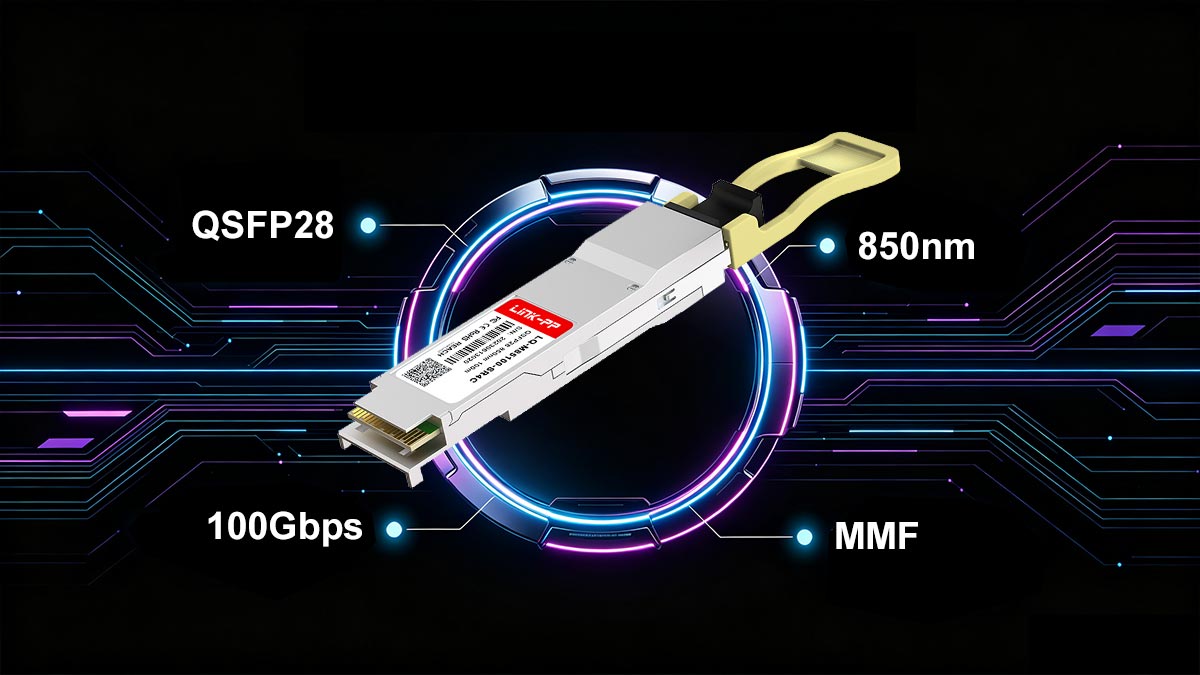 Understanding the Core Specs of Mellanox MMA1B00 C100D to Avoid Overspending