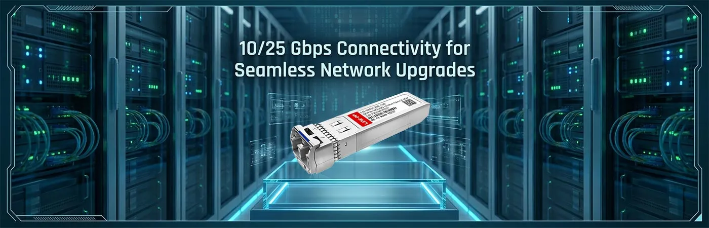 LS-SM3125E-10E 10 25 Gbps Connectivity for Seamless Network Upgrades
