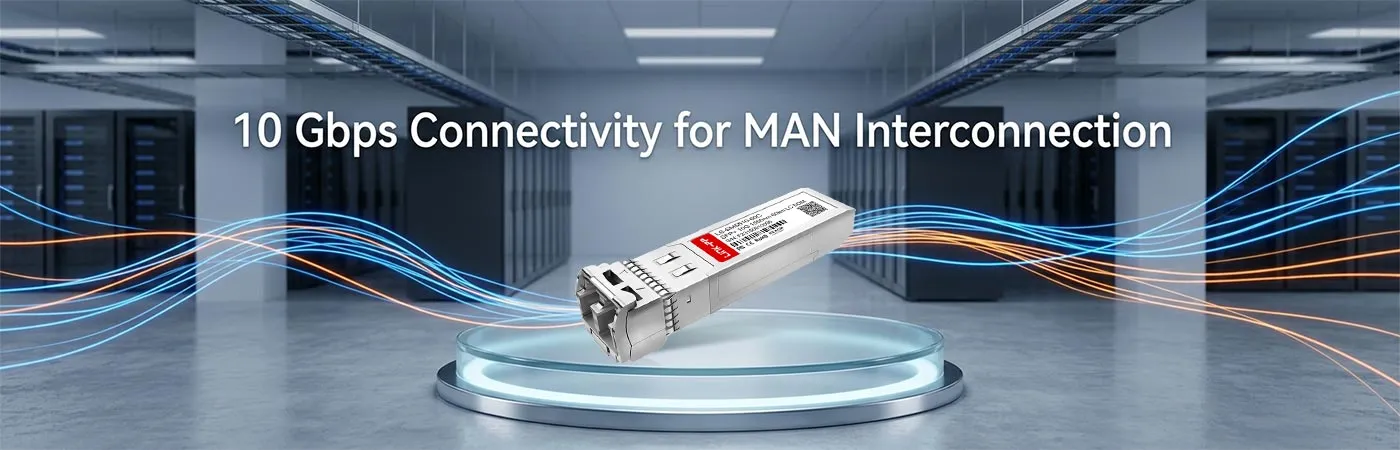 LS-SM5510-60C: Connettività a 10 Gbps per interconnessioni MAN