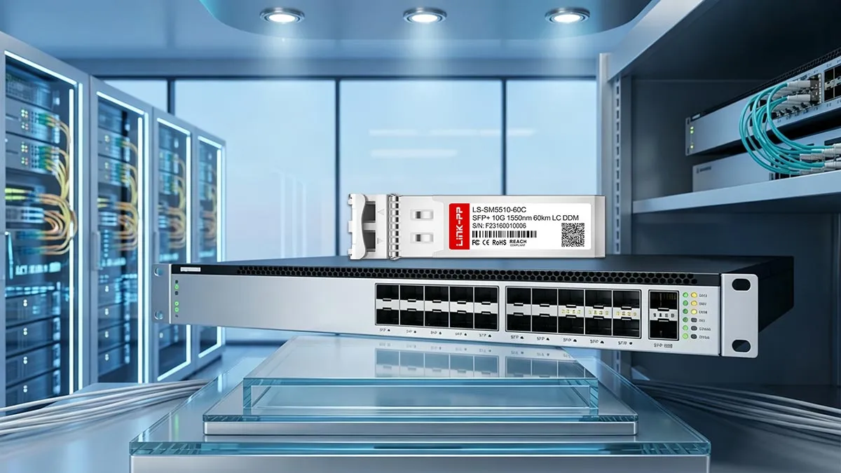 LINK-PP LS-SM5510-60C 10G SFP+ Usage Demonstration