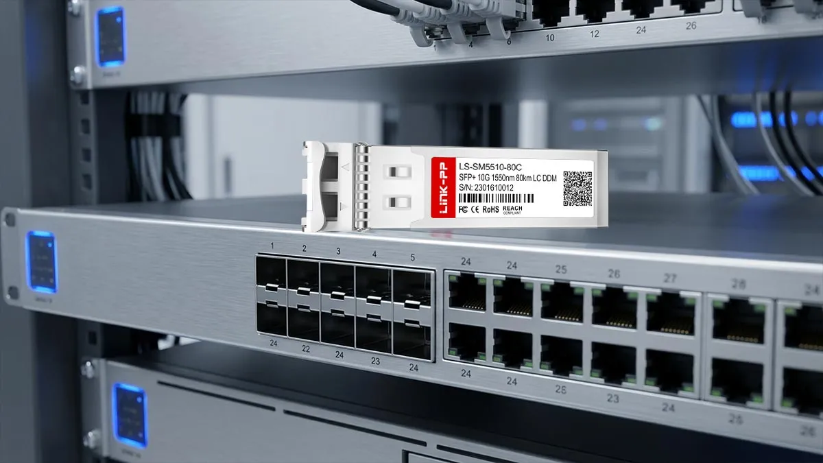 LINK-PP LS-SM5510-80C 10G SFP+ Usage Demonstration