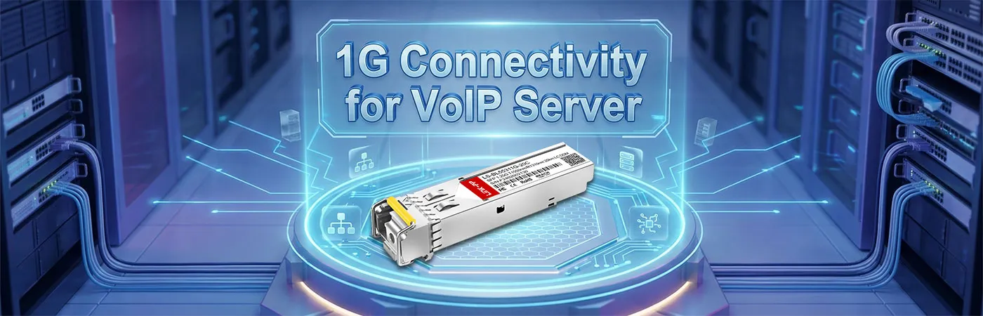 GLC-BX-20D: 1G Connectivity for VoIP Server