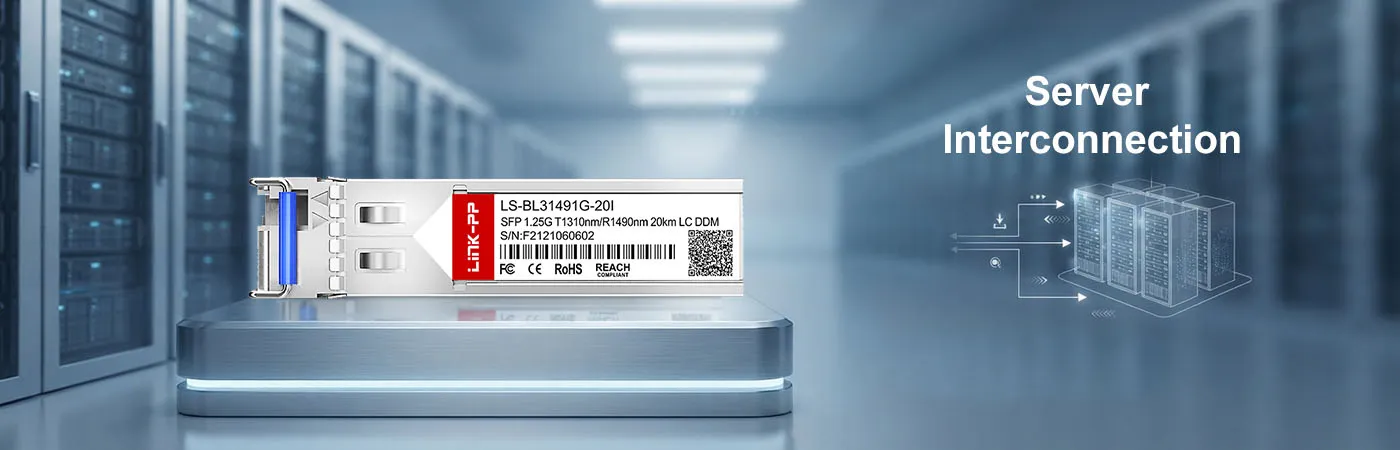 LS-BL31491G-20I: 1G-Konnektivität für Serververbindungen