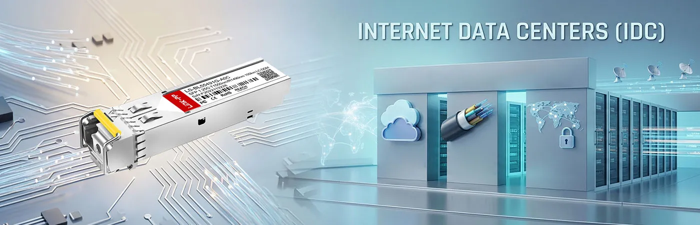 LS-BL55491G-A0C: 1G-Konnektivität für Internet-Rechenzentren (IDC)