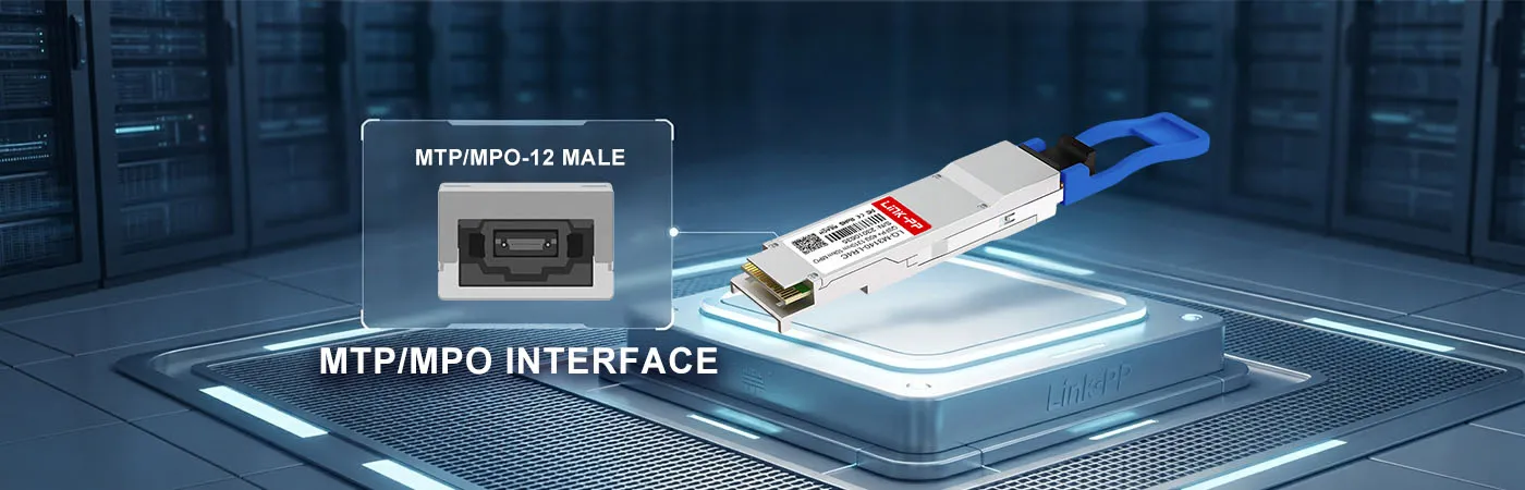 Modulo JNP-QSFP-4X10GE-LR con interfaccia MPO-12/APC