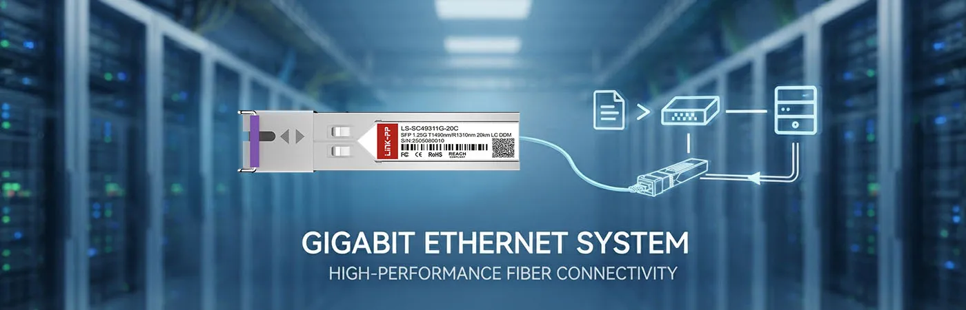 LS-SC49311G-20C: 1G-connectiviteit voor Gigabit Ethernet-systeem