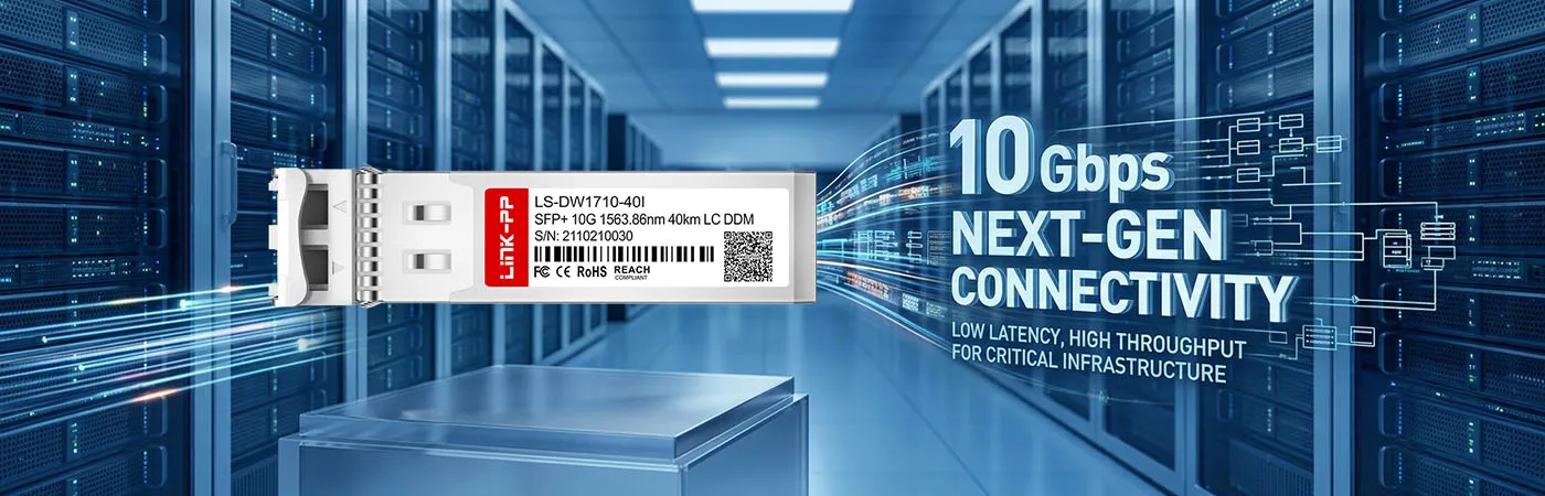 LS-DW1710-40I: 10-Gbit/s-Konnektivität für Netzwerke der nächsten Generation