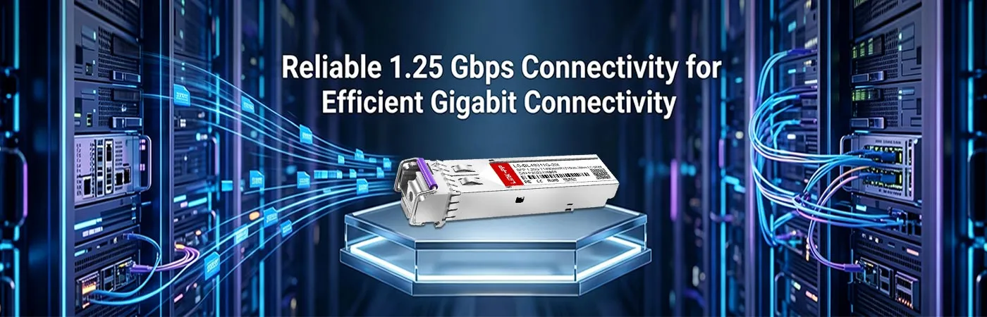 LS-BL49311G-20I: 효율적인 기가비트 연결을 위한 안정적인 1.25Gbps 연결
