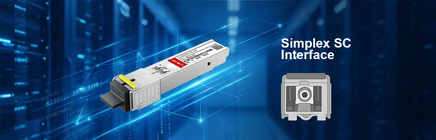 LS-SC55311G-10I Module with Simplex SC Interface