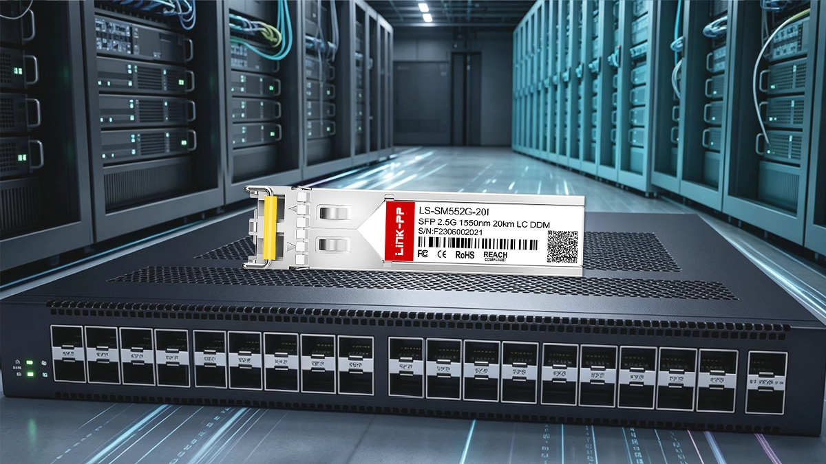 LINK-PP LS-SM552G-20I 2.5G SFP Usage Demonstration