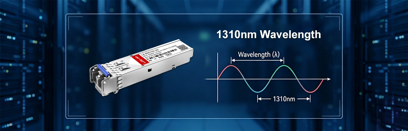 LS-SM3106-20I Module with 1310nm Wavelength
