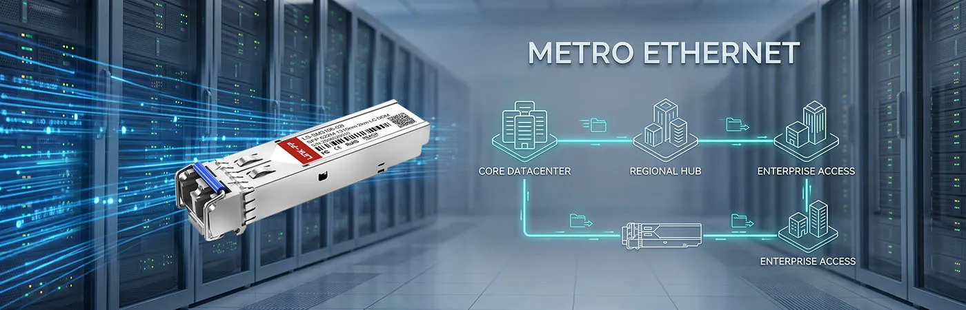 LS-SM3106-02I: 622M Connectivity for Metro Ethernet