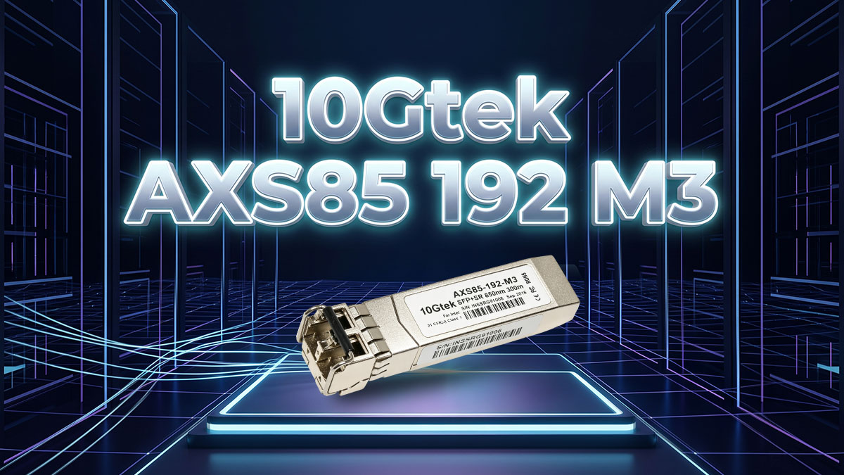 Understanding the 10Gtek AXS85 192 M3
