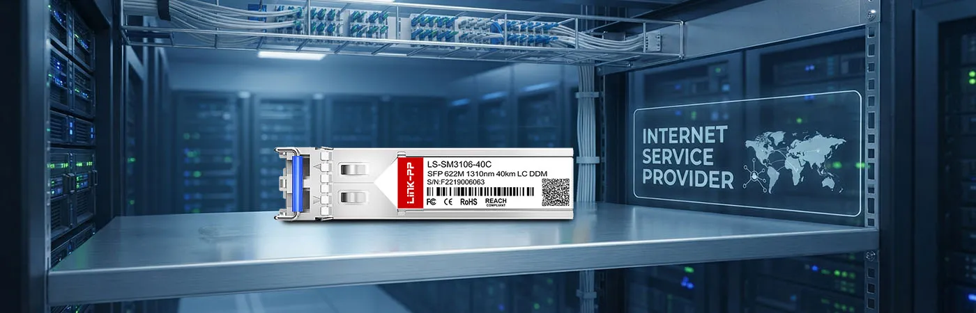 LS-SM3106-40C: 622M Connectivity for Internet Service Provider