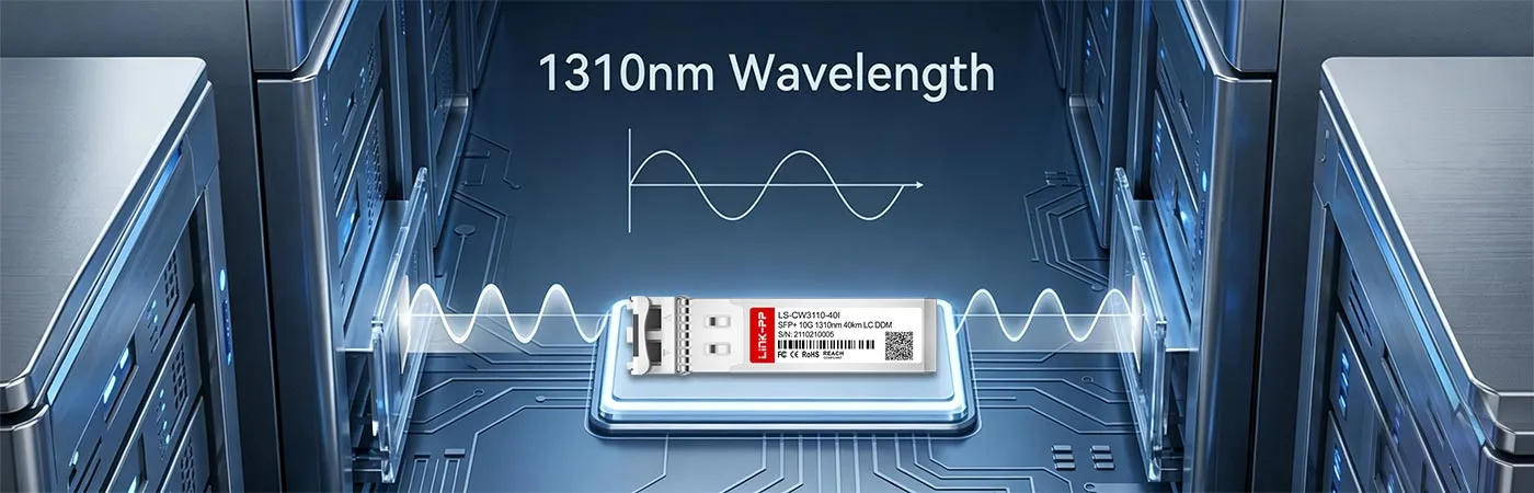Módulo LS-CW3110-40I com comprimento de onda de 1310 nm