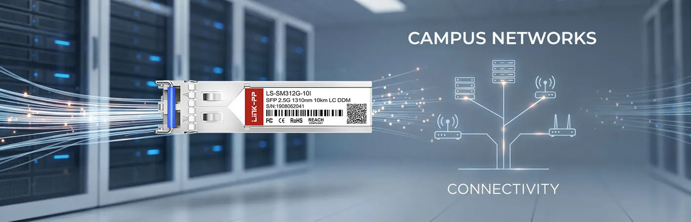 LS-SM312G-10I: 2.5G Connectivity for Campus Networks