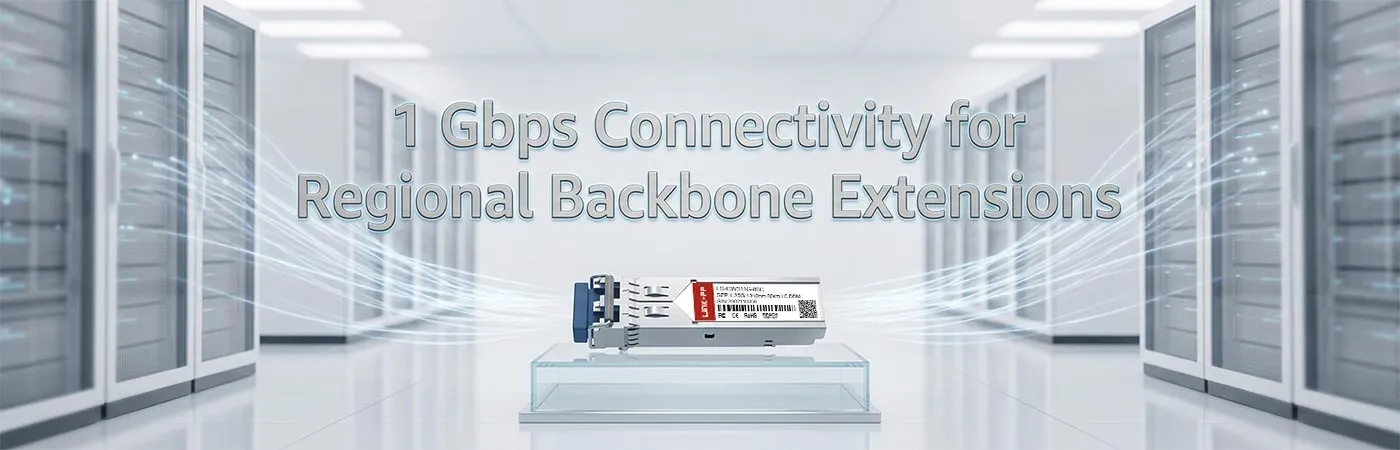 LS-CW311G-80C: 1 Gbps Connectivity for Regional Backbone Extensions