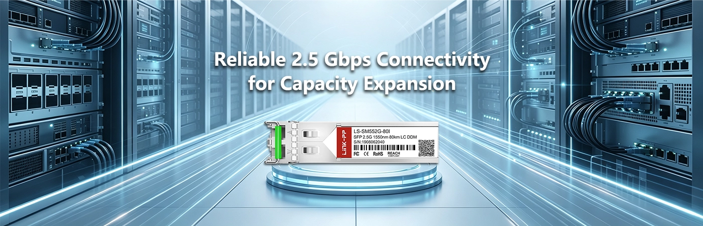 LS-SM552G-80I: Reliable 2.5 Gbps Connectivity for Capacity Expansion