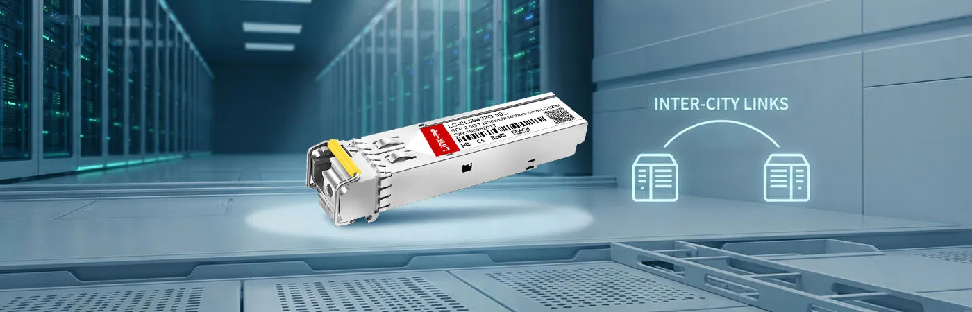 LS-BL55492G-80C: 2.5G Connectivity for Inter-city Links