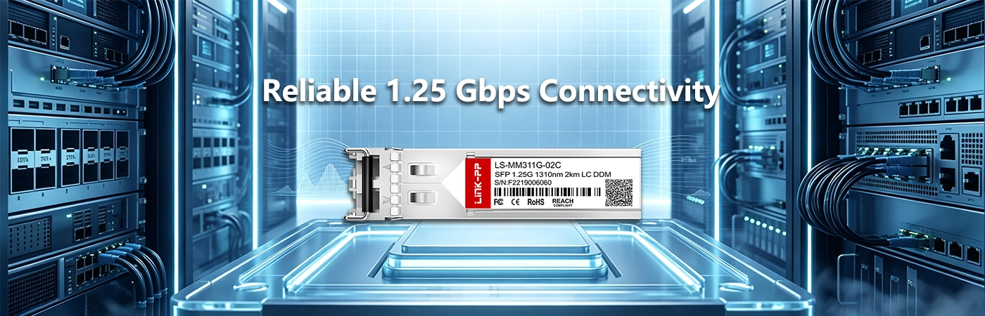 LS-MM311G-02C: Reliable 1.25 Gbps Connectivity
