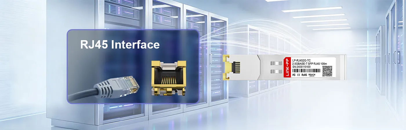 SFP-2.5G-T Module with RJ45 Interface