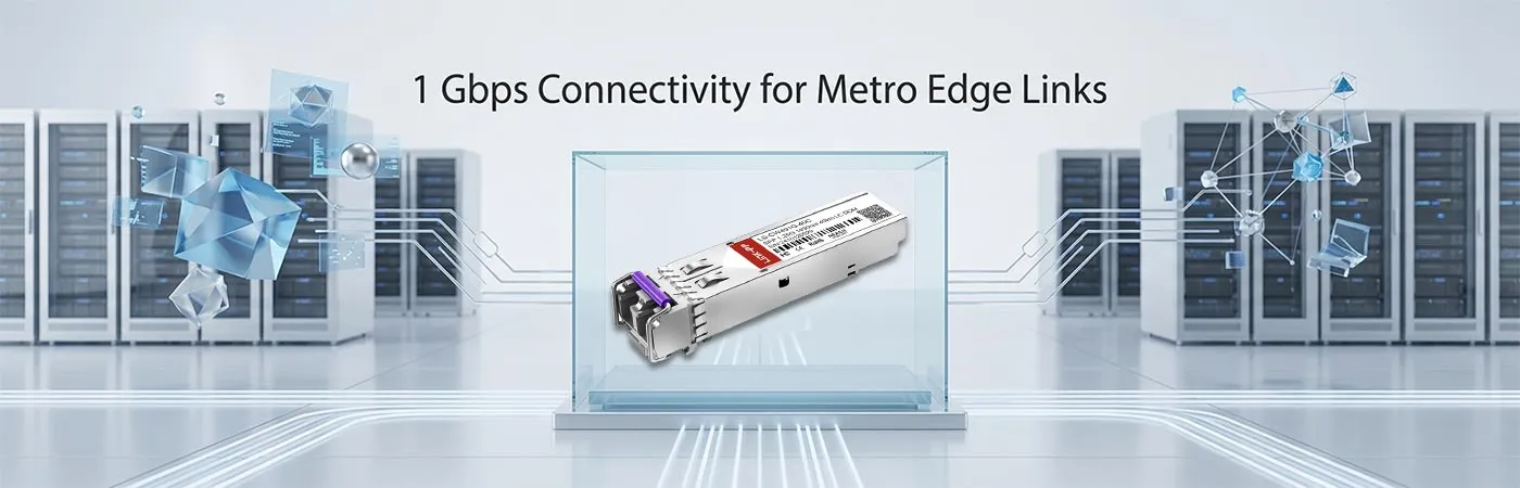 LS-CW491G-40C: 1 Gbps Connectivity for Metro Edge Links