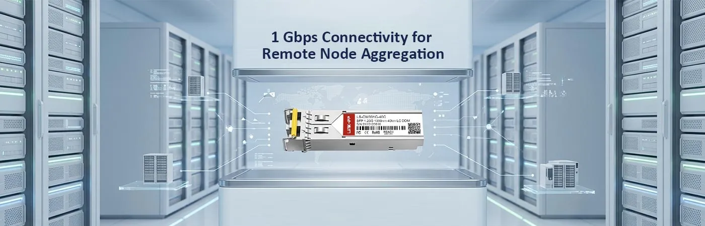 LS-CW391G-40C: 1 Gbps Connectivity for Remote Node Aggregation