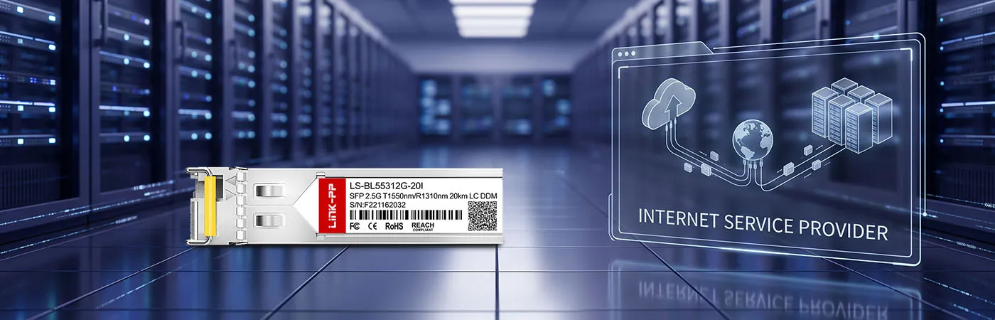 LS-BL55312G-20I: 2.5G Connectivity for Internet Service Provider