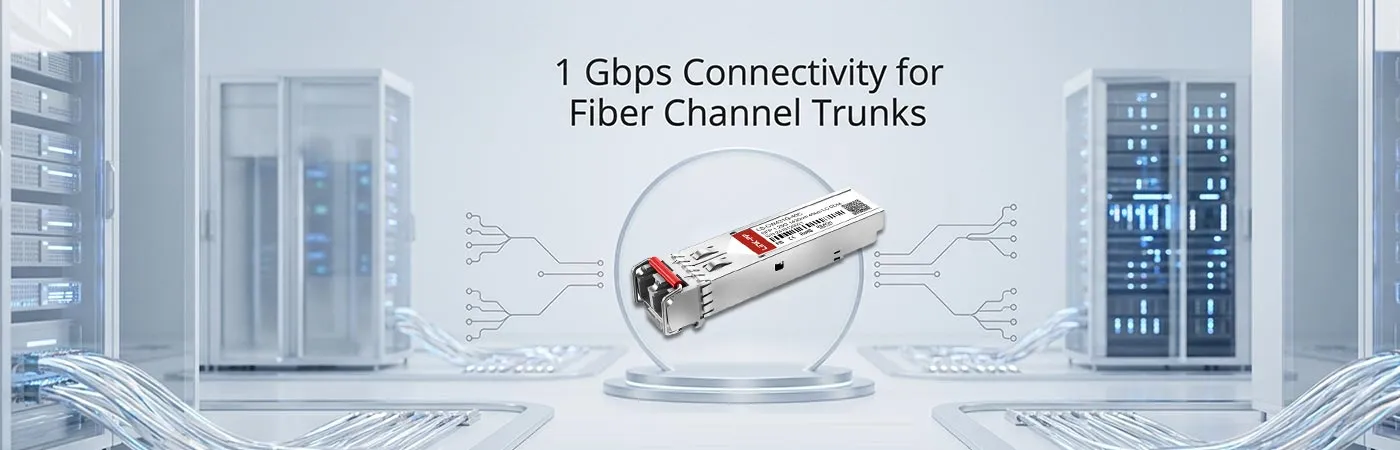 LS-CW431G-40C: 1 Gbps Connectivity for Fiber Channel Trunks