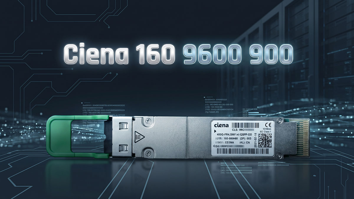 What Is Ciena 160 9600 900?