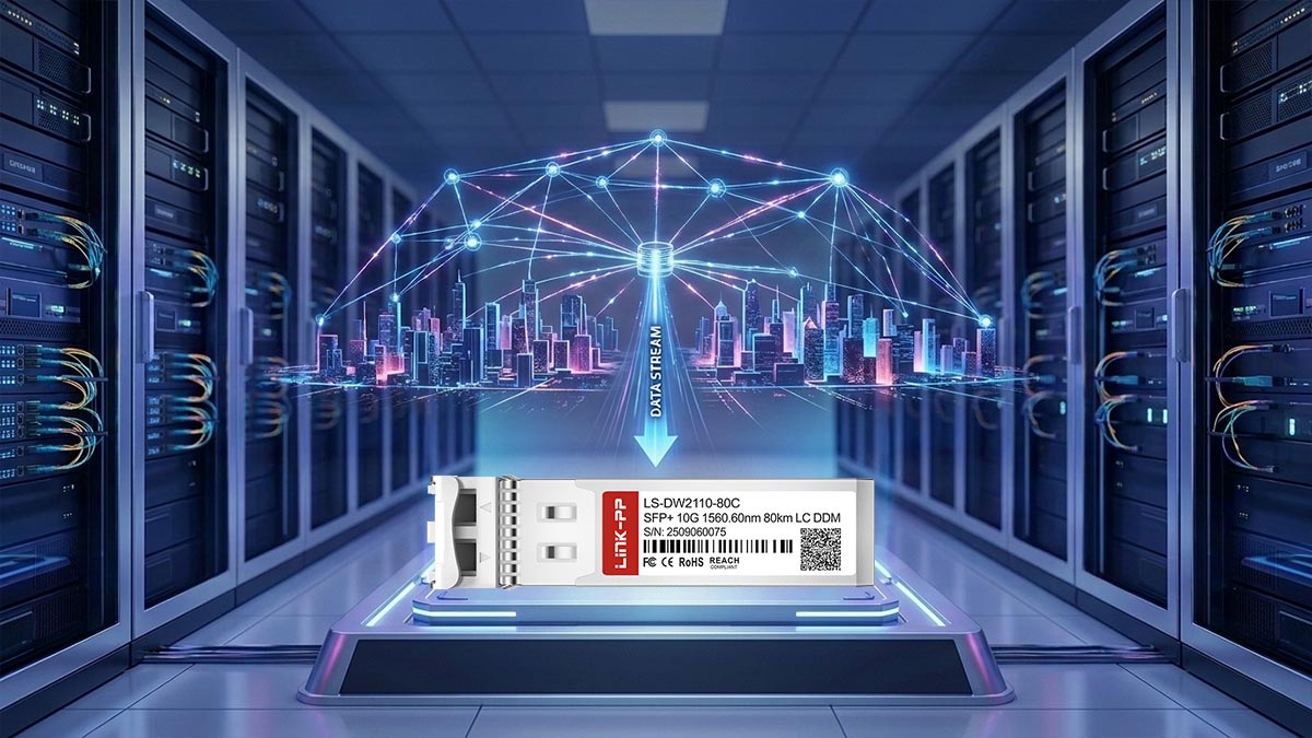 Client Profile and Business Connectivity Challenges