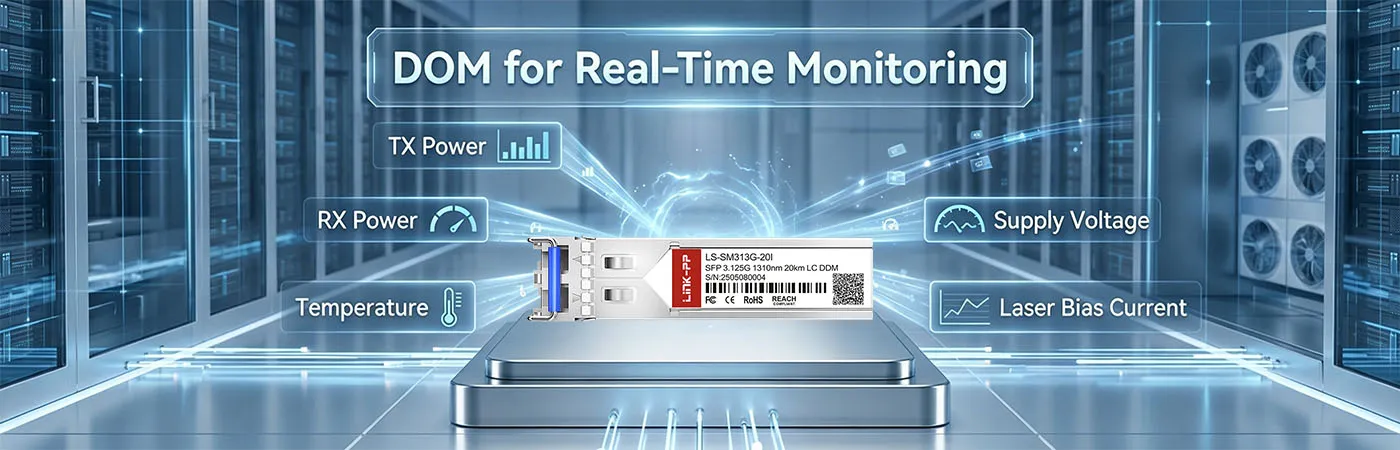 LS-SM313G-20I Module with DOM for Real-Time Monitoring